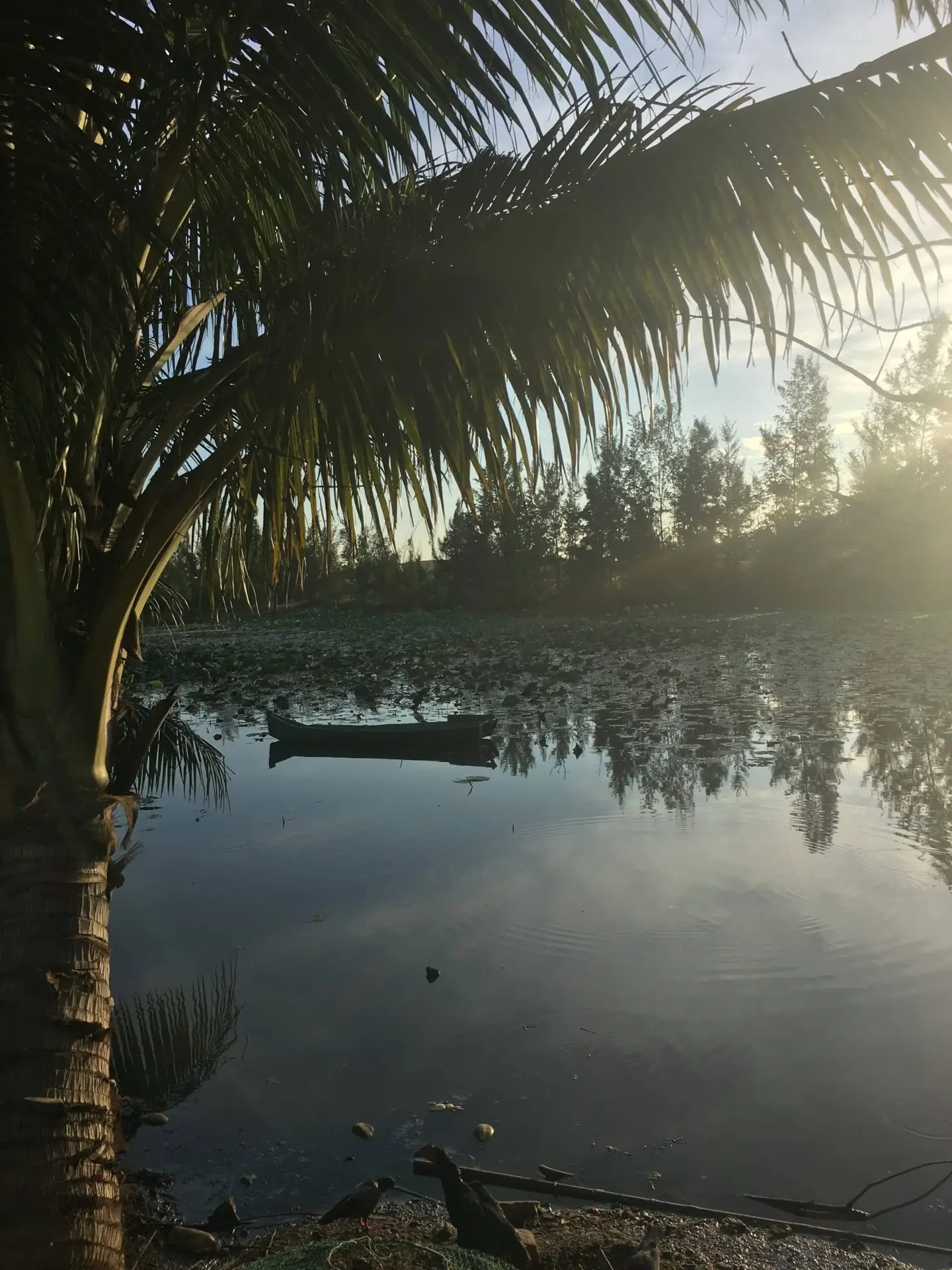 Teaching English in Vietnam: Eva’s Story