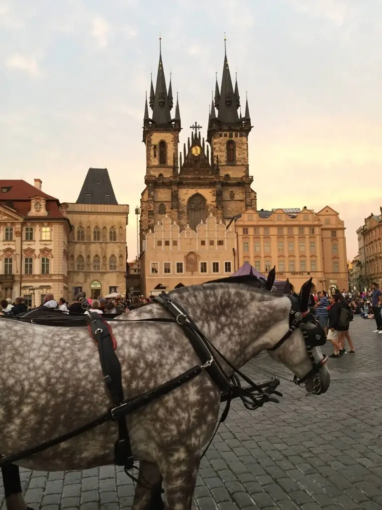 Teaching English in Prague: Neil Seth’s Experience