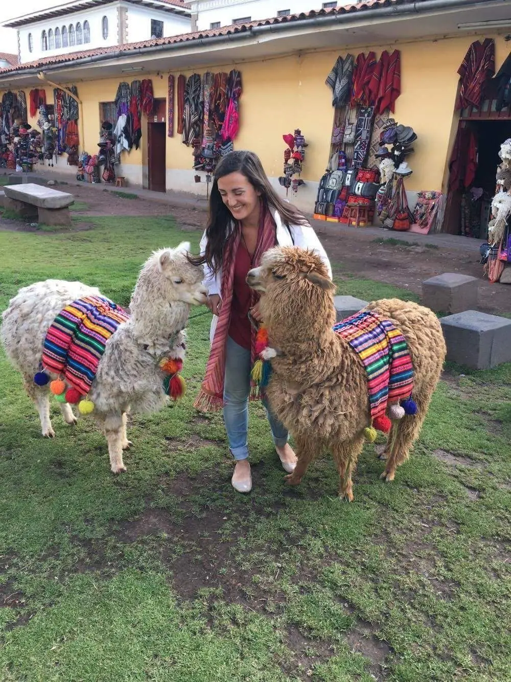 IMG_0341 Christina Romeo with alpacas in Peru