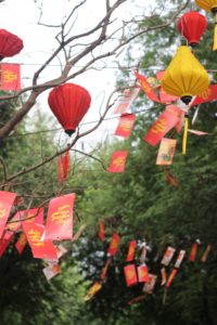IMG_2390 Red lanterns hanging in trees during festival in Vietnam