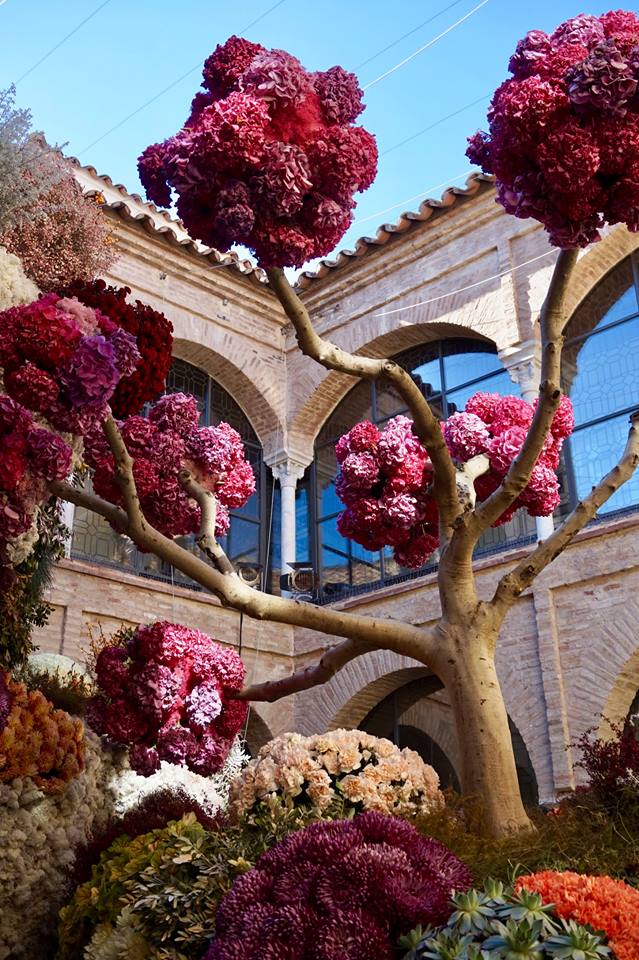 tefl3 Colorful courtyard in Cordoba with vibrant flowers and historic architecture